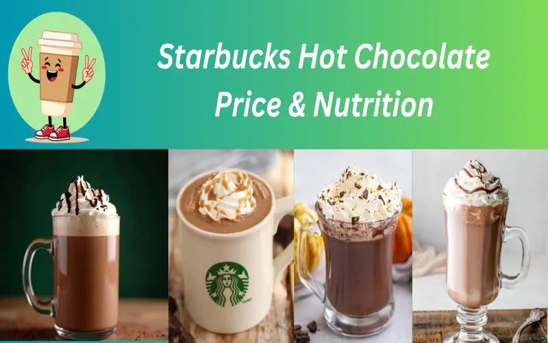 Starbucks Hot Chocolate