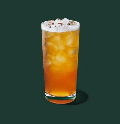 Starbucks Iced Black Tea Lemonade