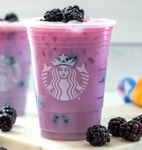 Starbucks Purple Drink